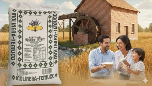 Oferta de Juguetes 2